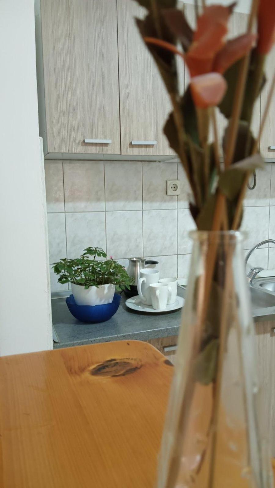 Villa Re3Ca Σκόπια Εξωτερικό φωτογραφία